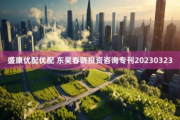 盛康优配优配 东吴春晓投资咨询专刊20230323