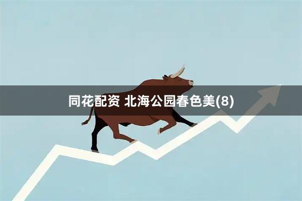 同花配资 北海公园春色美(8)