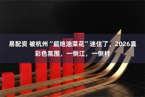 易配资 被杭州“超绝油菜花”迷住了，2026真彩色氛围，一侧江，一侧村