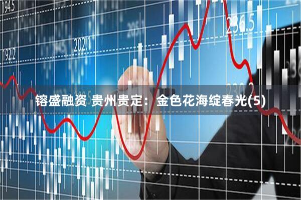 镕盛融资 贵州贵定：金色花海绽春光(5)