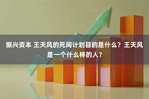 振兴资本 王天风的死间计划目的是什么？王天风是一个什么样的人？