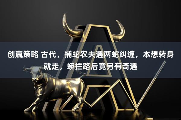 创赢策略 古代，捕蛇农夫遇两蛇纠缠，本想转身就走，蟒拦路后竟另有奇遇