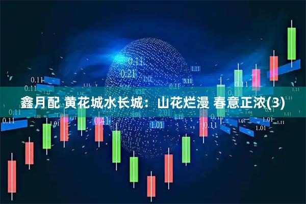 鑫月配 黄花城水长城：山花烂漫 春意正浓(3)