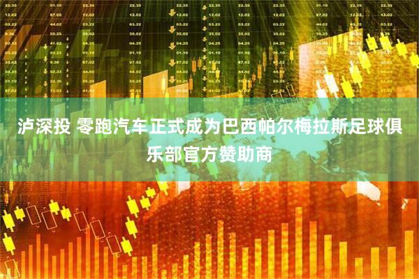 泸深投 零跑汽车正式成为巴西帕尔梅拉斯足球俱乐部官方赞助商