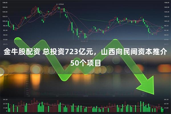 金牛股配资 总投资723亿元，山西向民间资本推介50个项目
