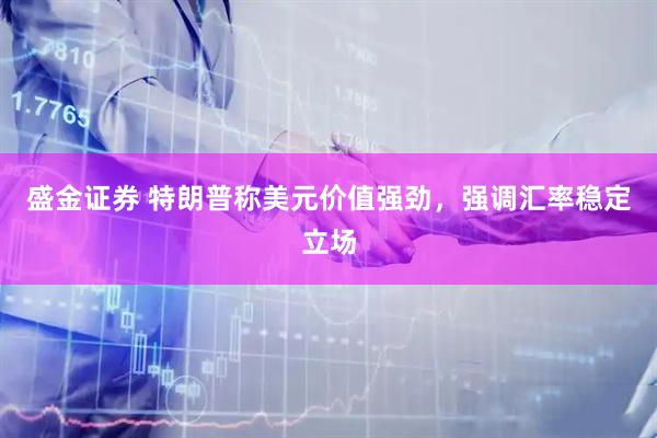 盛金证券 特朗普称美元价值强劲，强调汇率稳定立场