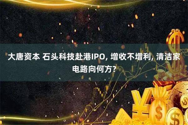 大唐资本 石头科技赴港IPO, 增收不增利, 清洁家电路向何方?