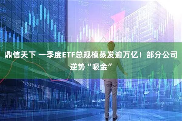 鼎信天下 一季度ETF总规模蒸发逾万亿！部分公司逆势“吸金”