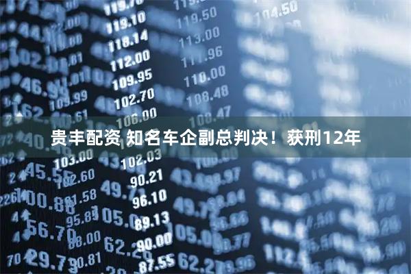贵丰配资 知名车企副总判决！获刑12年