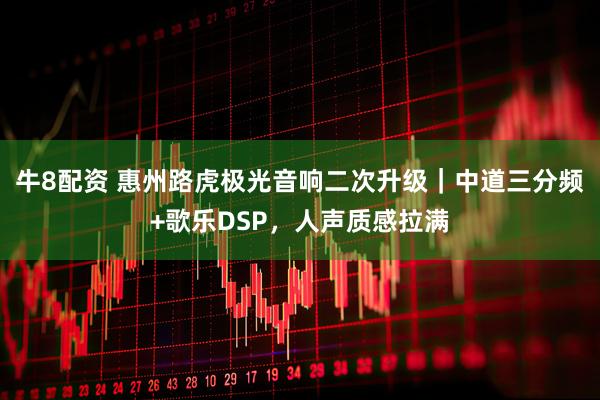牛8配资 惠州路虎极光音响二次升级｜中道三分频+歌乐DSP，人声质感拉满