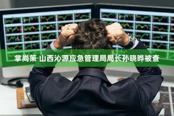 掌尚策 山西沁源应急管理局局长孙晓晔被查