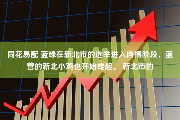 同花易配 蓝绿在新北市的选举进入肉搏阶段，蓝营的新北小鸡也开始雄起。 新北市的