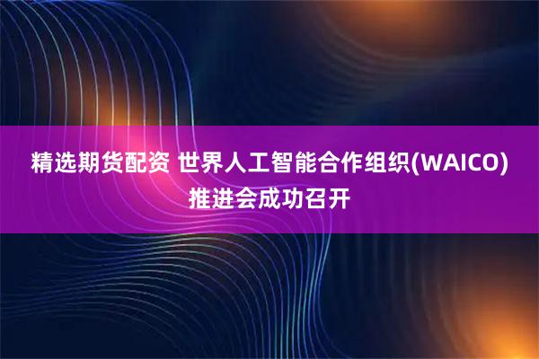 精选期货配资 世界人工智能合作组织(WAICO)推进会成功召开